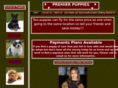 buypuppiestoday.com