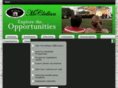 exploremcclellan.com