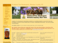 southerntierbeekeepers.com