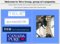 tel-egroup.com