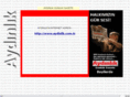 aydinlik.info