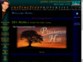 instinctiveproperties.com