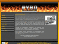 pyrocombustion.com