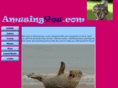 amusingyou.com