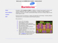 eurmicros.com