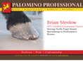 palominoprofessional.com