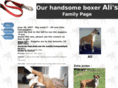 alitheboxer.com
