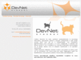 devnetsynergy.com
