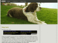dogliving.com