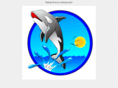 flyingorca.com