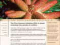 pinegenomeinitiative.org