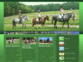 poney-club-guedefrise.com