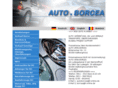 autoborcea.com