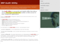 erp-audit.com