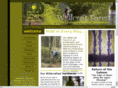 festivalintheforest.com