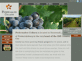 pedernaleswineries.com
