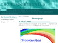 prohomnibusonlus.com