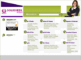 solidseek.com