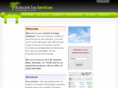 burbanktaxservices.com