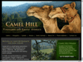 camelhillvineyards.com