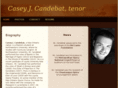 caseycandebat.com