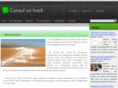 consulontrack.com