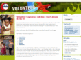into-volunteer.de