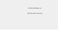 skyfieldpartners.com