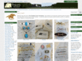wholesaleequestrianjewelry.com