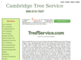 cambridgetreeservice.com