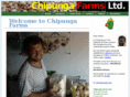 chipunga.com