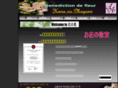 hana-no-megumi.com