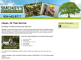smokeystreeandelectrical.com