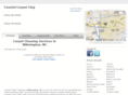 carpet-cleaning-wilmington.com