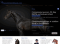 characterwarmbloods.com
