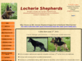 locherieshepherds.com