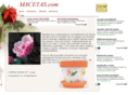 macetas.com