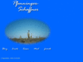pfenninger4u.com