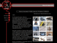 shyneassociates.com