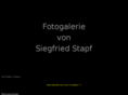 siegfried-stapf.com