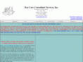 daycareconsultantsrvcs.com