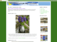 dinosaurdrygoods.com