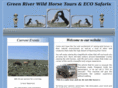 greenriverwildhorsetours.com