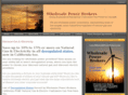 wholesalepowerbroker.com