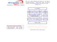 ebizinstant.com