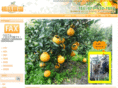 hashizume-nouen.com