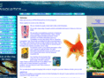 owaquatics.co.uk