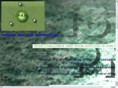 pharmanuclearservices.com