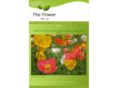 flowerbedgc.com