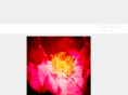 grauraum.net